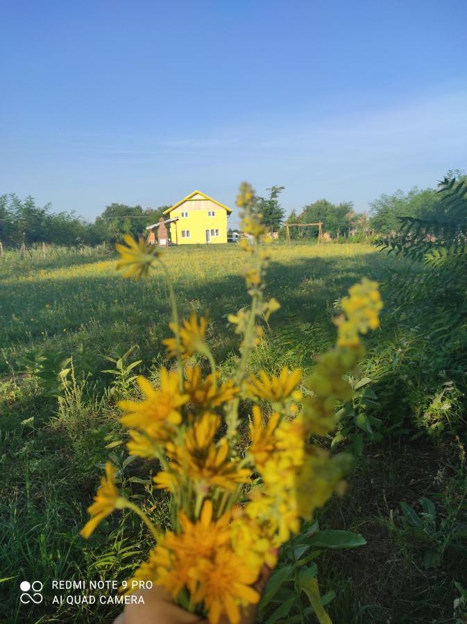 Appartement Mirella33 à Palić Extérieur photo